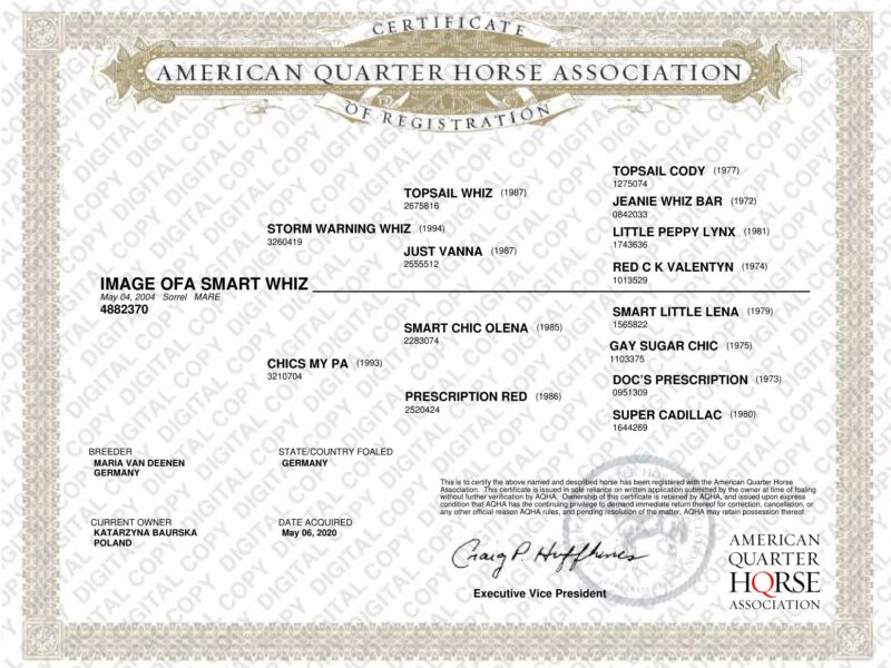 IMAGE OFA SMART WHIZ