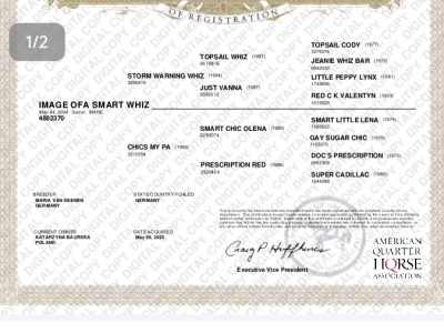 IMAGE OFA SMART WHIZ